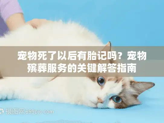 宠物死了以后有胎记吗？宠物殡葬服务的关键解答指南