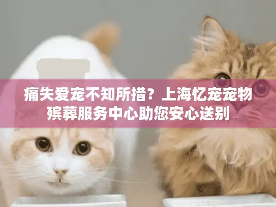 痛失爱宠不知所措？上海忆宠宠物殡葬服务中心助您安心送别