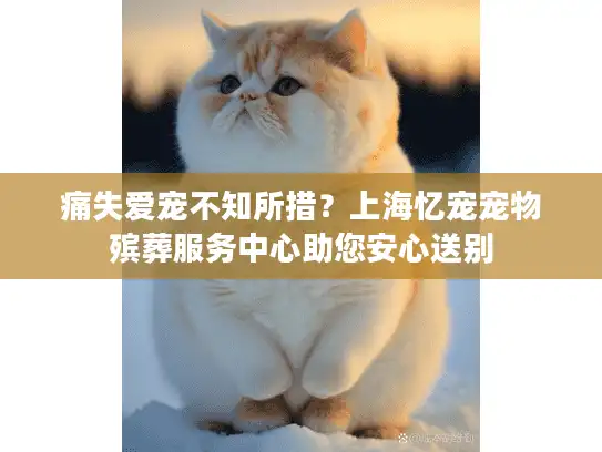 痛失爱宠不知所措？上海忆宠宠物殡葬服务中心助您安心送别