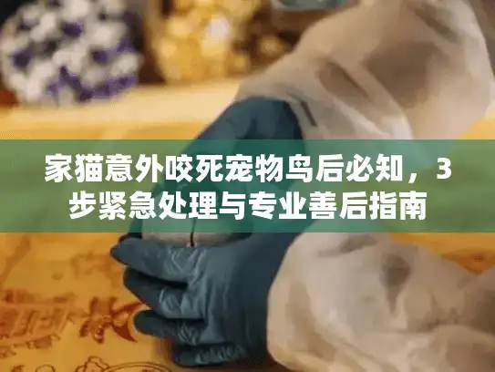 家猫意外咬死宠物鸟后必知，3步紧急处理与专业善后指南