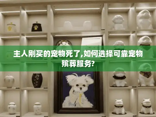 主人刚买的宠物死了,如何选择可靠宠物殡葬服务?