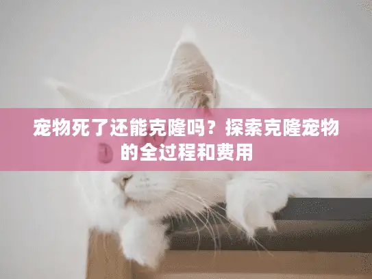 宠物死了还能克隆吗？探索克隆宠物的全过程和费用