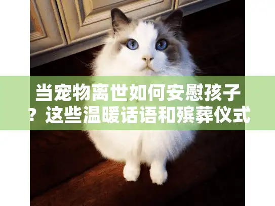 当宠物离世如何安慰孩子？这些温暖话语和殡葬仪式让孩子学会告别