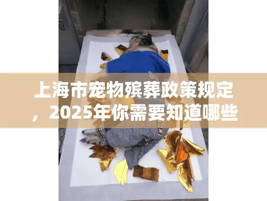 上海市宠物殡葬政策规定，2025年你需要知道哪些关键细节？