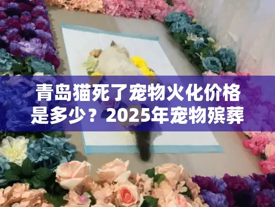 青岛猫死了宠物火化价格是多少？2025年宠物殡葬服务费用全解析