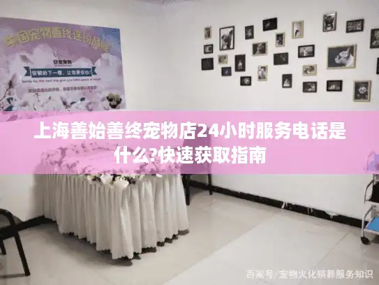 上海善始善终宠物店24小时服务电话是什么?快速获取指南