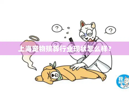 上海宠物殡葬行业现状怎么样？
