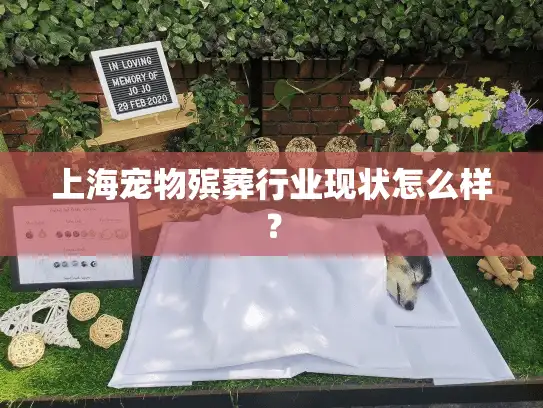 上海宠物殡葬行业现状怎么样？