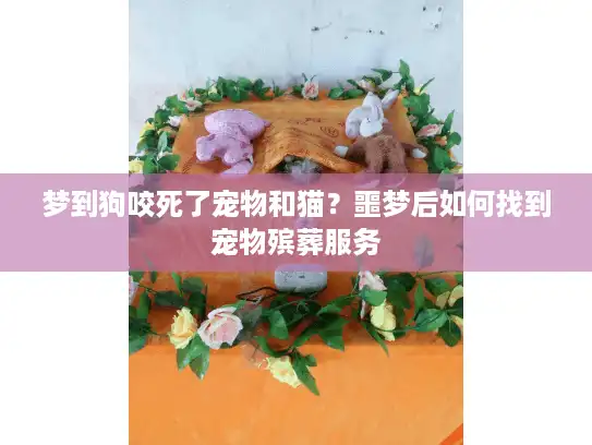 梦到狗咬死了宠物和猫？噩梦后如何找到宠物殡葬服务