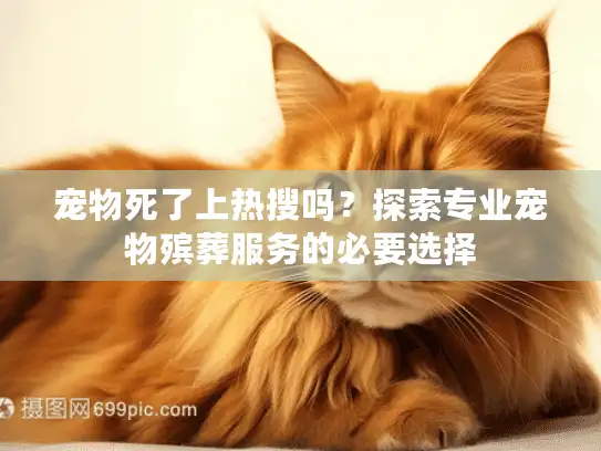 宠物死了上热搜吗？探索专业宠物殡葬服务的必要选择