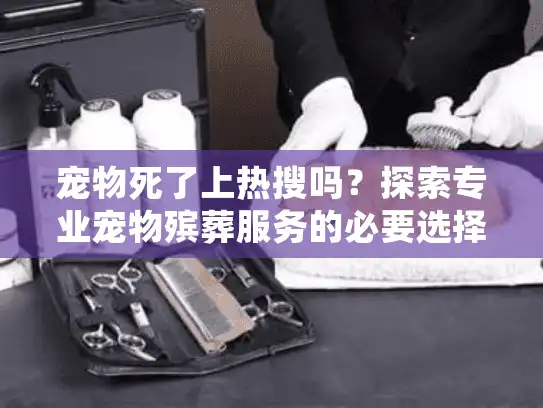 宠物死了上热搜吗？探索专业宠物殡葬服务的必要选择