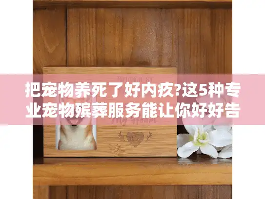 把宠物养死了好内疚?这5种专业宠物殡葬服务能让你好好告别