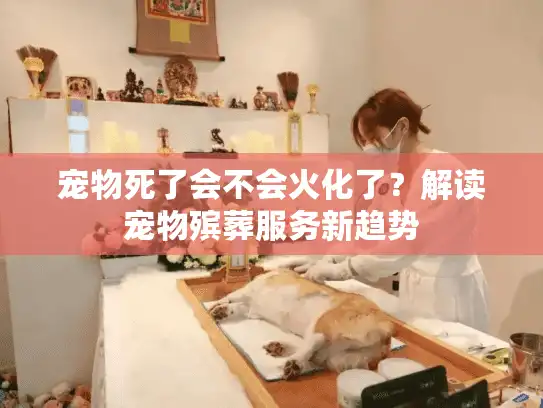 宠物死了会不会火化了？解读宠物殡葬服务新趋势