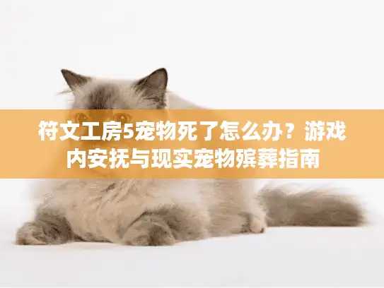 符文工房5宠物死了怎么办？游戏内安抚与现实宠物殡葬指南