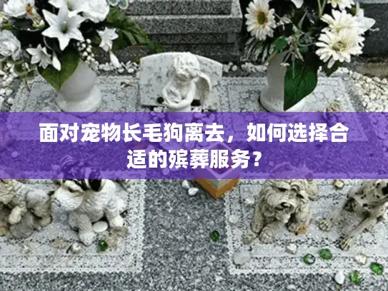 面对宠物长毛狗离去，如何选择合适的殡葬服务？