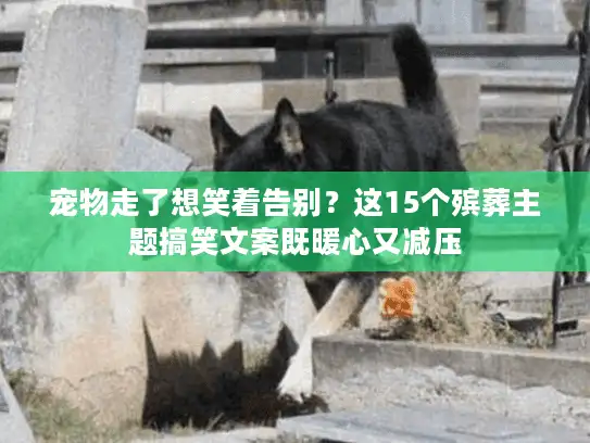 宠物走了想笑着告别？这15个殡葬主题搞笑文案既暖心又减压
