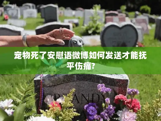 宠物死了安慰语微博如何发送才能抚平伤痛?