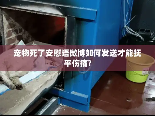 宠物死了安慰语微博如何发送才能抚平伤痛?