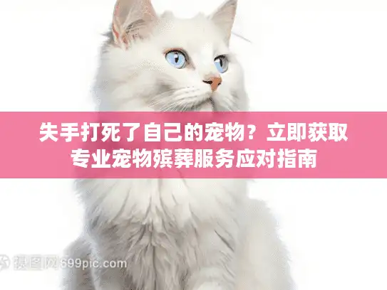 失手打死了自己的宠物？立即获取专业宠物殡葬服务应对指南