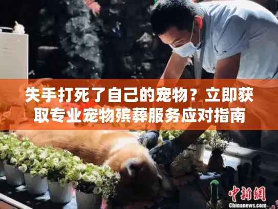 失手打死了自己的宠物？立即获取专业宠物殡葬服务应对指南