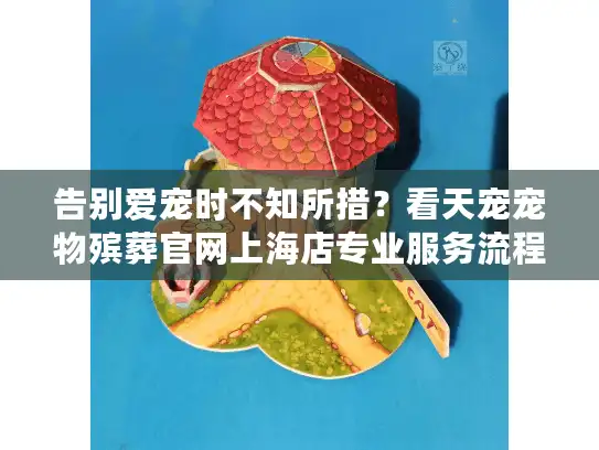 告别爱宠时不知所措？看天宠宠物殡葬官网上海店专业服务流程解析