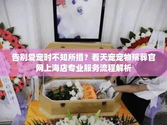 告别爱宠时不知所措？看天宠宠物殡葬官网上海店专业服务流程解析