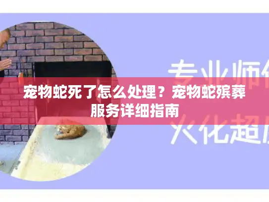 宠物蛇死了怎么处理？宠物蛇殡葬服务详细指南