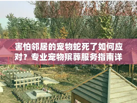 害怕邻居的宠物蛇死了如何应对？专业宠物殡葬服务指南详解
