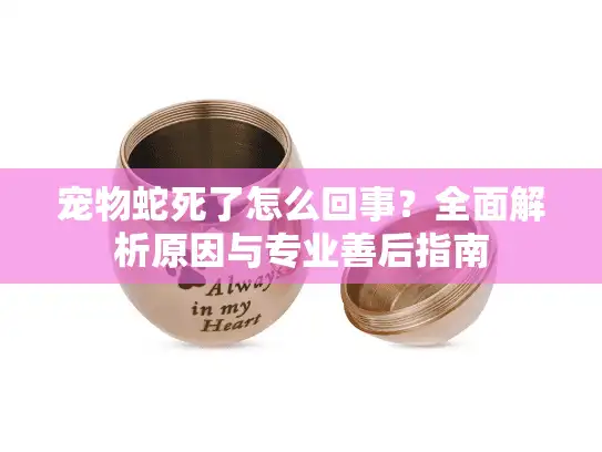 宠物蛇死了怎么回事？全面解析原因与专业善后指南