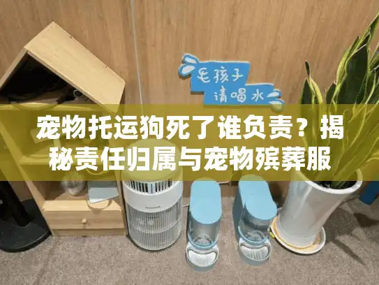 宠物托运狗死了谁负责？揭秘责任归属与宠物殡葬服务指南