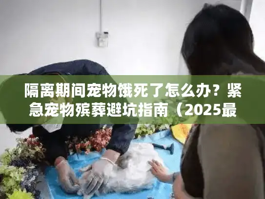 隔离期间宠物饿死了怎么办？紧急宠物殡葬避坑指南（2025最新）