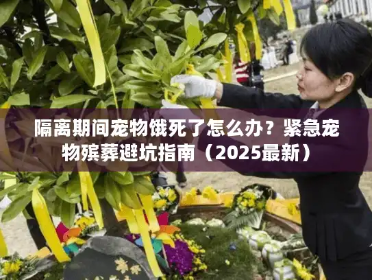 隔离期间宠物饿死了怎么办？紧急宠物殡葬避坑指南（2025最新）