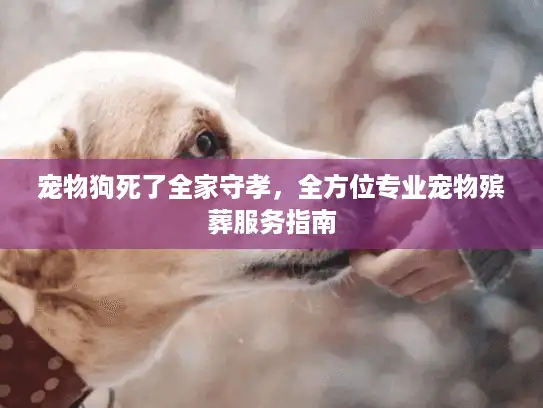 宠物狗死了全家守孝，全方位专业宠物殡葬服务指南