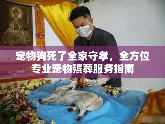 宠物狗死了全家守孝，全方位专业宠物殡葬服务指南