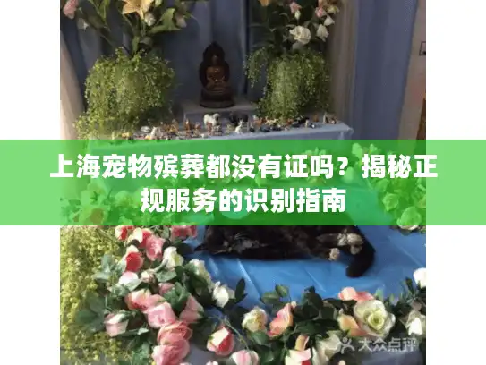 上海宠物殡葬都没有证吗？揭秘正规服务的识别指南