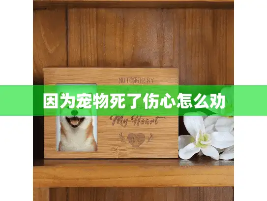 因为宠物死了伤心怎么劝