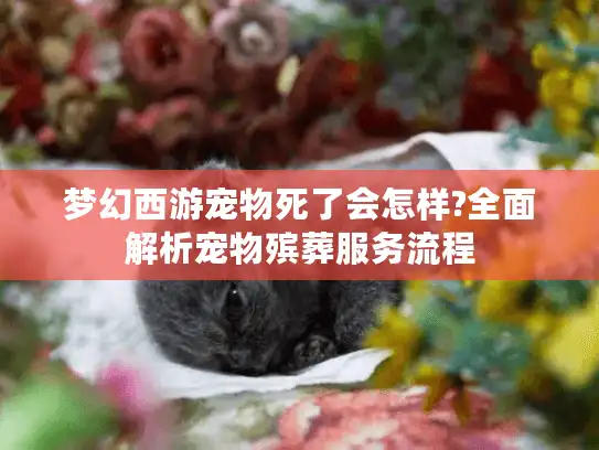 梦幻西游宠物死了会怎样?全面解析宠物殡葬服务流程