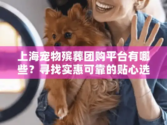 上海宠物殡葬团购平台有哪些？寻找实惠可靠的贴心选择