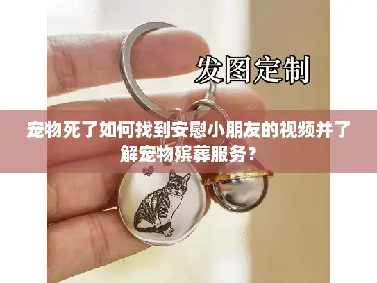 宠物死了如何找到安慰小朋友的视频并了解宠物殡葬服务？