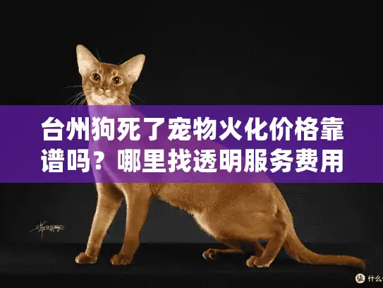 台州狗死了宠物火化价格靠谱吗？哪里找透明服务费用明细