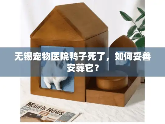 无锡宠物医院鸭子死了，如何妥善安葬它？