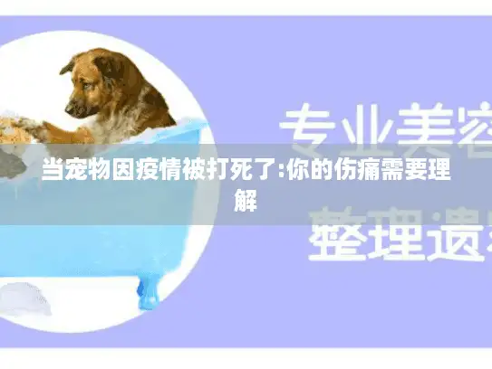 当宠物因疫情被打死了:你的伤痛需要理解