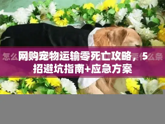 网购宠物运输零死亡攻略，5招避坑指南+应急方案