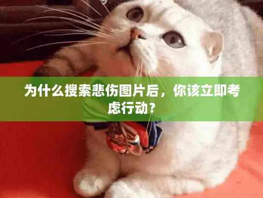 为什么搜索悲伤图片后，你该立即考虑行动？