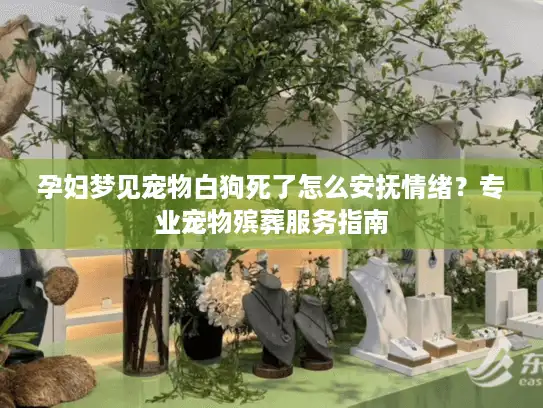 孕妇梦见宠物白狗死了怎么安抚情绪？专业宠物殡葬服务指南