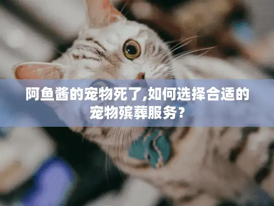 阿鱼酱的宠物死了,如何选择合适的宠物殡葬服务？
