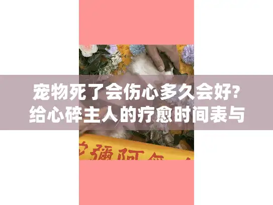 宠物死了会伤心多久会好?给心碎主人的疗愈时间表与行动指南