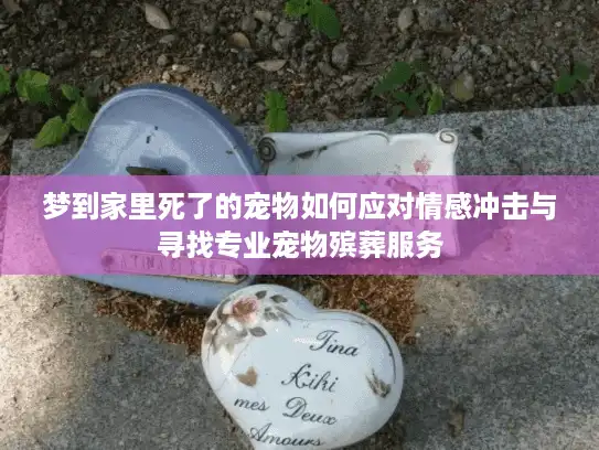 梦到家里死了的宠物如何应对情感冲击与寻找专业宠物殡葬服务