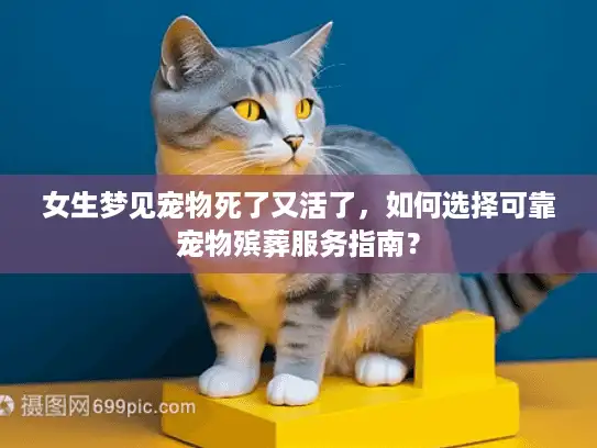 女生梦见宠物死了又活了，如何选择可靠宠物殡葬服务指南？