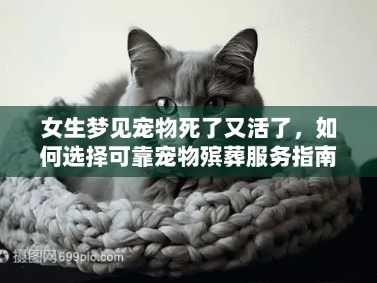 女生梦见宠物死了又活了，如何选择可靠宠物殡葬服务指南？